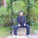 한성탑행정사 합동사무소 이미지