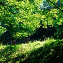 안터생태공원 이미지