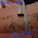 웰빙스포츠발마사지 이미지