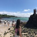 조아하멍 | 뚜벅이들의 2박3일 서쪽 제주도 택시여행일기 🚕 | 제주도 여행코스추천과 맛집 솔직후기 (여행경비)