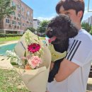 다다플라워 이미지