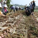 충청남도 태안군청소년수련관 이미지