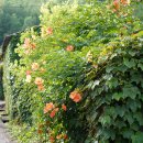 쌍내경로당 이미지