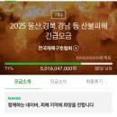 라이프짐MMA 이미지