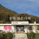 성암미술관 | 충북 보은카페 일상화카페 국민학교시절 추억 새록새록