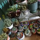 중구청 메리놀병원 이미지