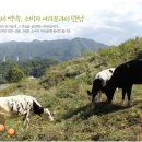 범산