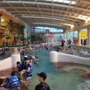 용인대골드태권도장 이미지