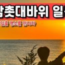 터널게이트(가) 네이버블로그