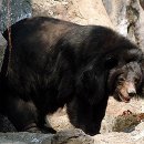 모가당구장 이미지