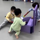 힘튼태권도 이미지