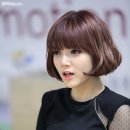 어울리니