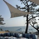 더비치하우스 이미지