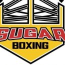 슈가복싱 프리미엄 이미지