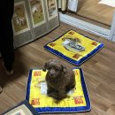 천왕 | 청주 점집 후기｜말 안 해도 먼저 맞추는 용한 곳, 천왕할매무녀 다녀온 후기