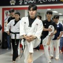 태권도 비전팀 이미지