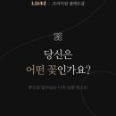 플라워웨이 이미지