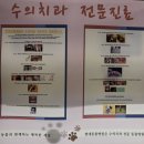 대현동물병원 이미지