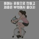 몸짱점핑다이어트