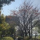 포곡어린이공원 이미지