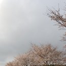 봄길민박