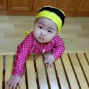 청풍리조트수영장 이미지