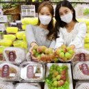 썬 이미지