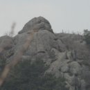 (주)이청우 Daum카페