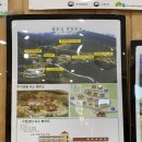 영주택시(주) | 내게와 영주! 가을 영주 여행 1박 2일(국립산림치유원, 수 테라피, 해먹 체험, 풍기둘레길, 고을카페)