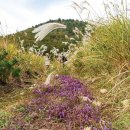 상천목장 이미지