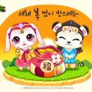 펫아일랜드 이미지