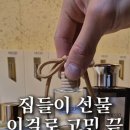 믈로MEULO
