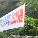 제주고깃집 - 홍성군 문화로 146 | 제주 고기, 봉개고깃집 솔직후기