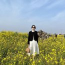 봄옷 하울1️⃣ (노티아 트위드자켓, 모아빈 트렌치코트/플리츠 스커트, <b>러브</b><b>패리스</b> 슬랙스)