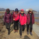 석포리선착장 이미지