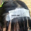 단골(DANGOL)헤어 | 전주앞머리모류교정 앞머리가마 모류교정펌 전주 모류교정 잘하는미용실 DANGOL헤어 서희원장