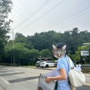 부여군 등경수약수터 이미지