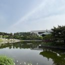 6월 11일(일) 14:00 용산가족공원~한강공원 트레킹 이미지