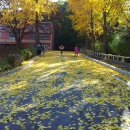 대신초교 이미지