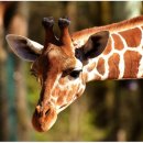 주신밥상 이미지