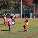 백암다목적운동장 이미지