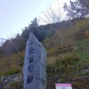 고운힐링팜 네이버블로그