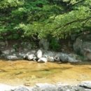 대운산매점