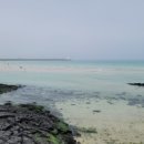 세화리해수욕장 이미지