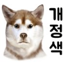 디스크 독 연구소 이미지