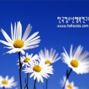 한국청소년행복연구소 네이버블로그
