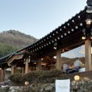 고유카페 이미지