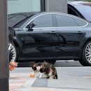 D-14 | 뷰티데이일상, 강남 울쎄라피 프라임 300샷 후기,D+14 효과 후기공개