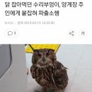 니네집 이미지