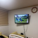 (주)티엔소프트 | [2025년 11월 기록] 재정비라 하고 놀고먹기😉